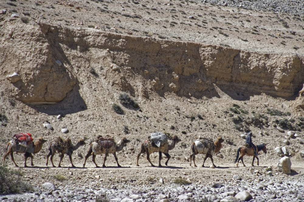 The role of Building Self Sufficiency Refugee Settlements in the times of Climate Change - A case of Afghanistan