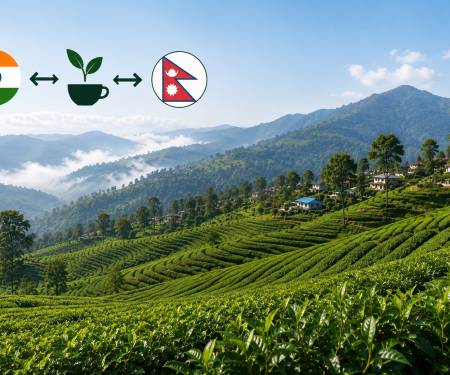 Assessing Regulatory Barriers and Bilateral Interdependence in India–Nepal Tea Trade