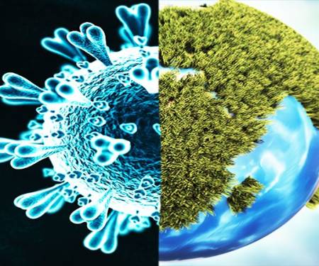 Climate Change Action or Economic Recovery? It’s the Economy, Stupid.